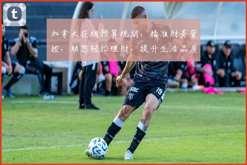 加拿大在线预算规划，精准财务管控，助您轻松理财，提升生活品质，轻松驾驭财务未来。