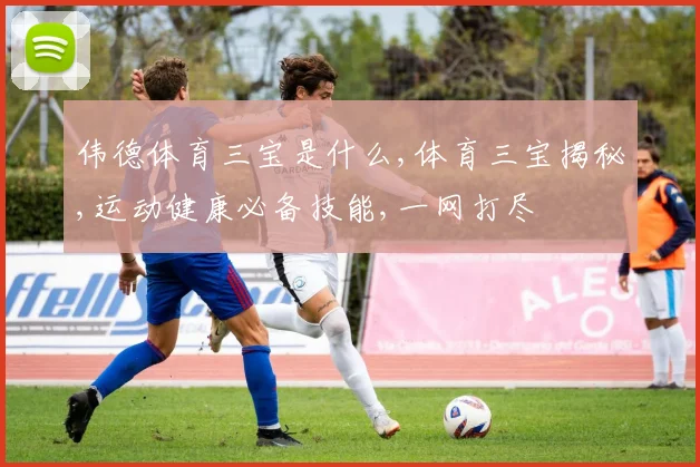 伟德体育三宝是什么,体育三宝揭秘,运动健康必备技能,一网打尽