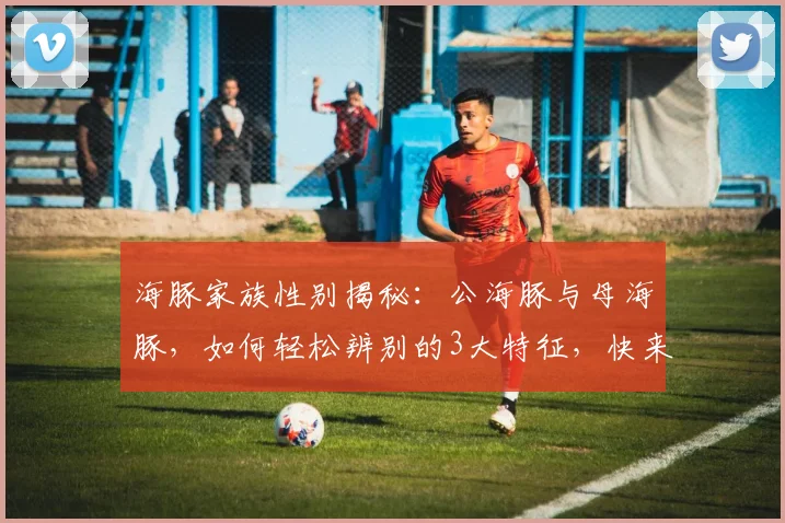 海豚家族性别揭秘：公海豚与母海豚，如何轻松辨别的3大特征，快来看看吧