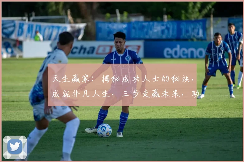 天生赢家：揭秘成功人士的秘诀，成就非凡人生，三步走赢未来，助力梦想起航