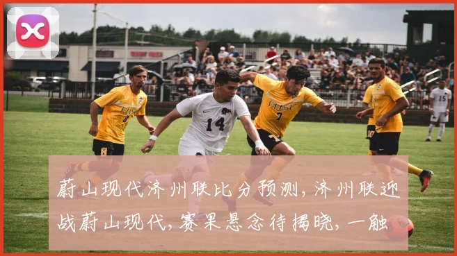 蔚山现代济州联比分预测,济州联迎战蔚山现代,赛果悬念待揭晓,一触即发