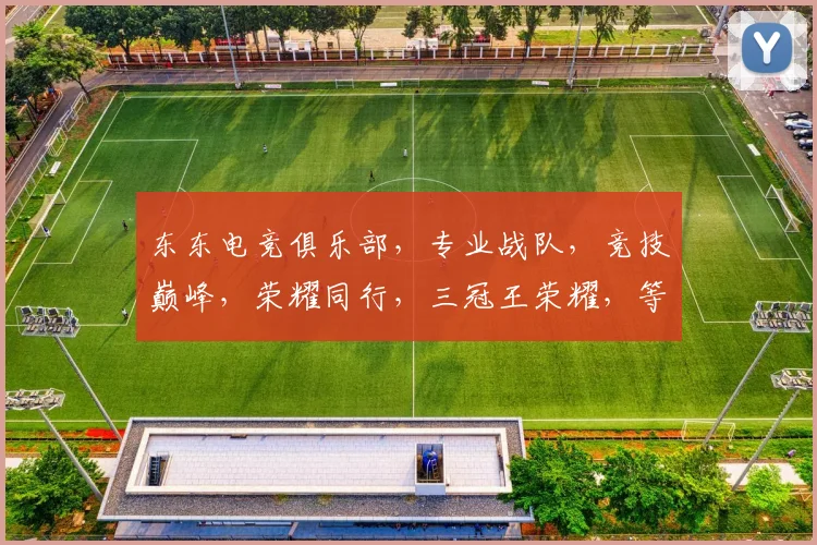 东东电竞俱乐部，专业战队，竞技巅峰，荣耀同行，三冠王荣耀，等你加入